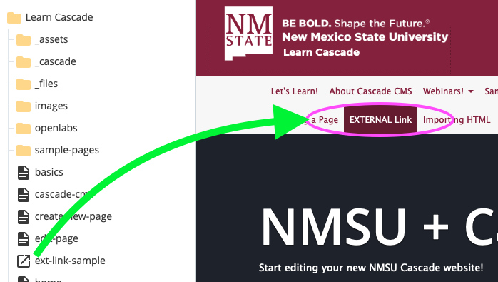 an External Link in the Top Nav